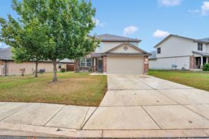 featured image of 15336 Night Heron