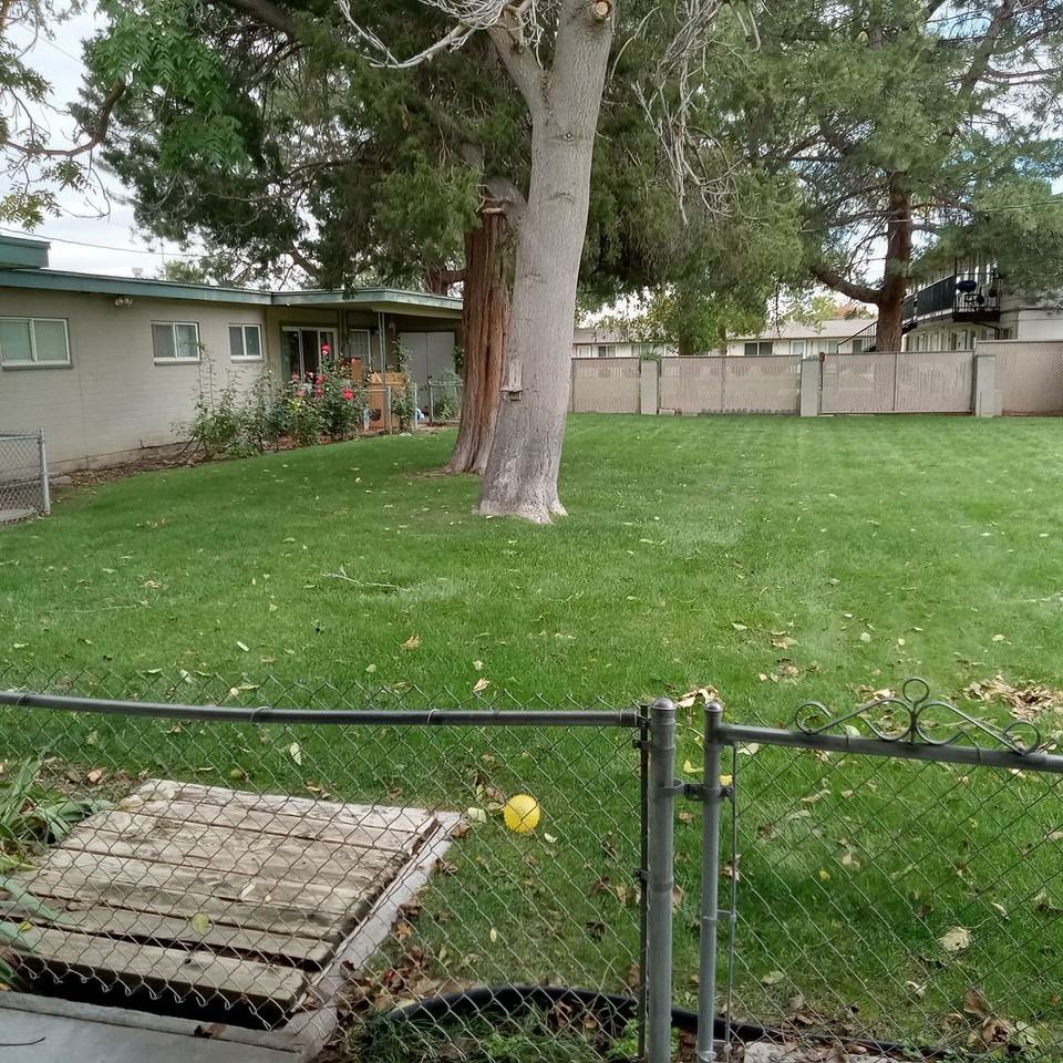 971 Ontario Street - Photo 2 of 8