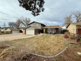 1013 Timber Lane - Photo 1 of 1