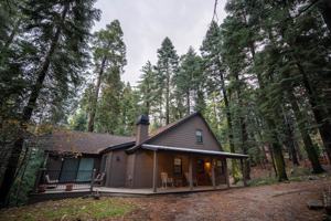 featured image of 27902 Squirrel Lane