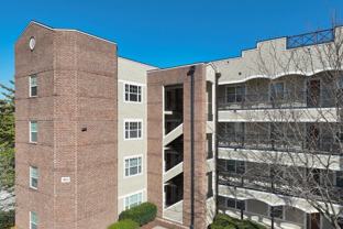 303 Criddle Street #406 - Photo 1 of 1