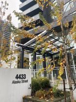 4433 Alaska Street #303 - Photo 1 of 1