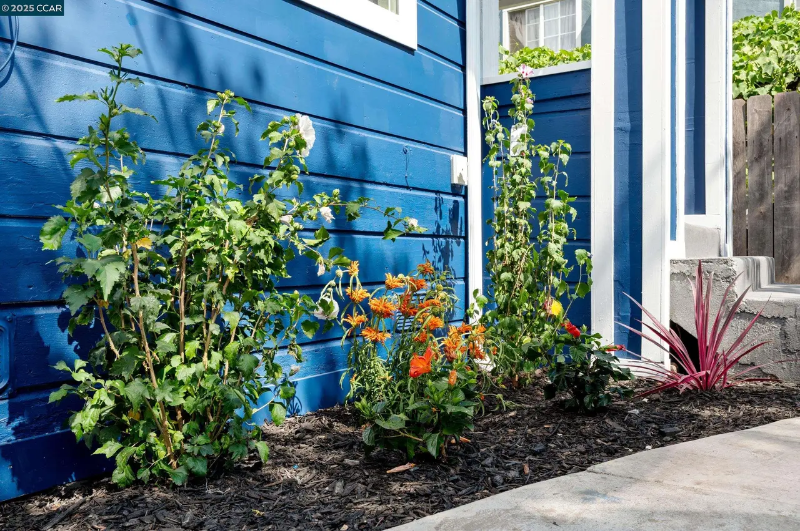 1245 90th Ave - Photo 7 of 20