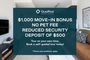 Hazel - Photo 1 of 1