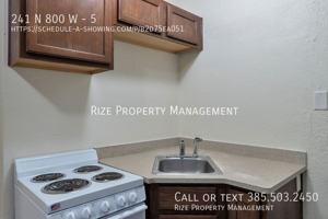 featured image of 241 North 800 West #5