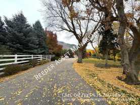 1966 Fruitland Dr #1 - Photo 1 of 1