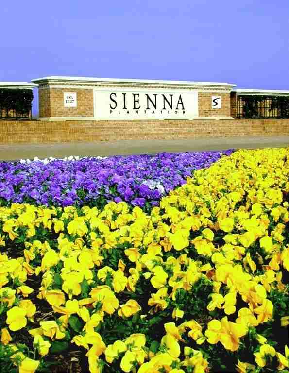 10739 Blossom River Drive #10739