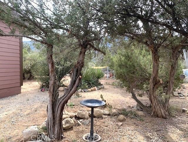 69979 Palm Springs Avenue #69979 - Photo 2 of 40