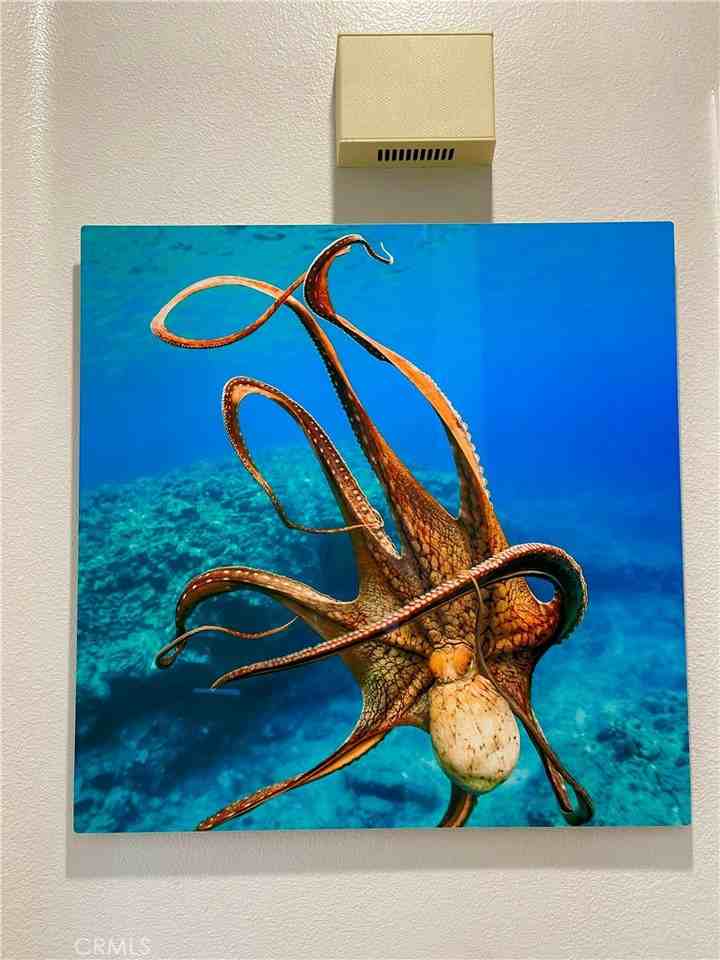 7543 Quiet Cove Cir #7543 - Photo 3 of 50