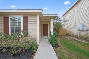 4107 Pedernales River Lane #4107 - Photo 1 of 1