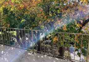 featured image of 2247 Martinique Lane #2247