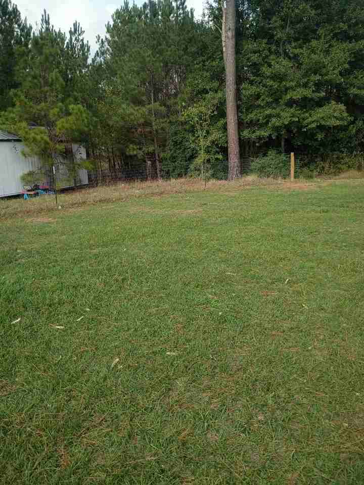 104 Alum Creek Drive #A - Photo 2 of 23