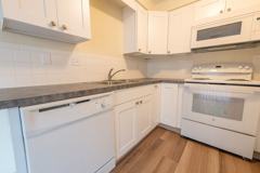 Markee Meadows - Photo 1 of 1