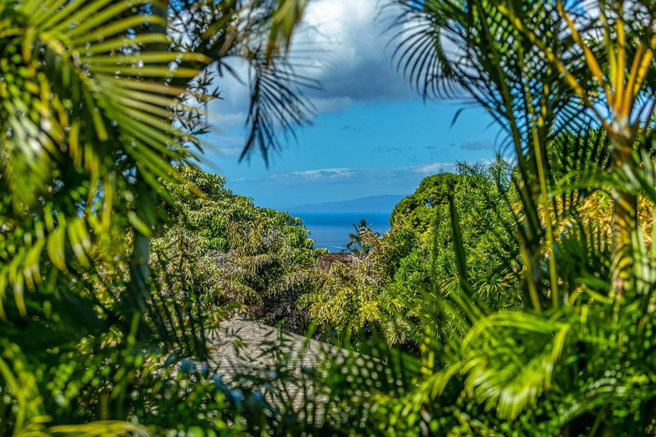 813 Kupulau Dr - Photo 5 of 15