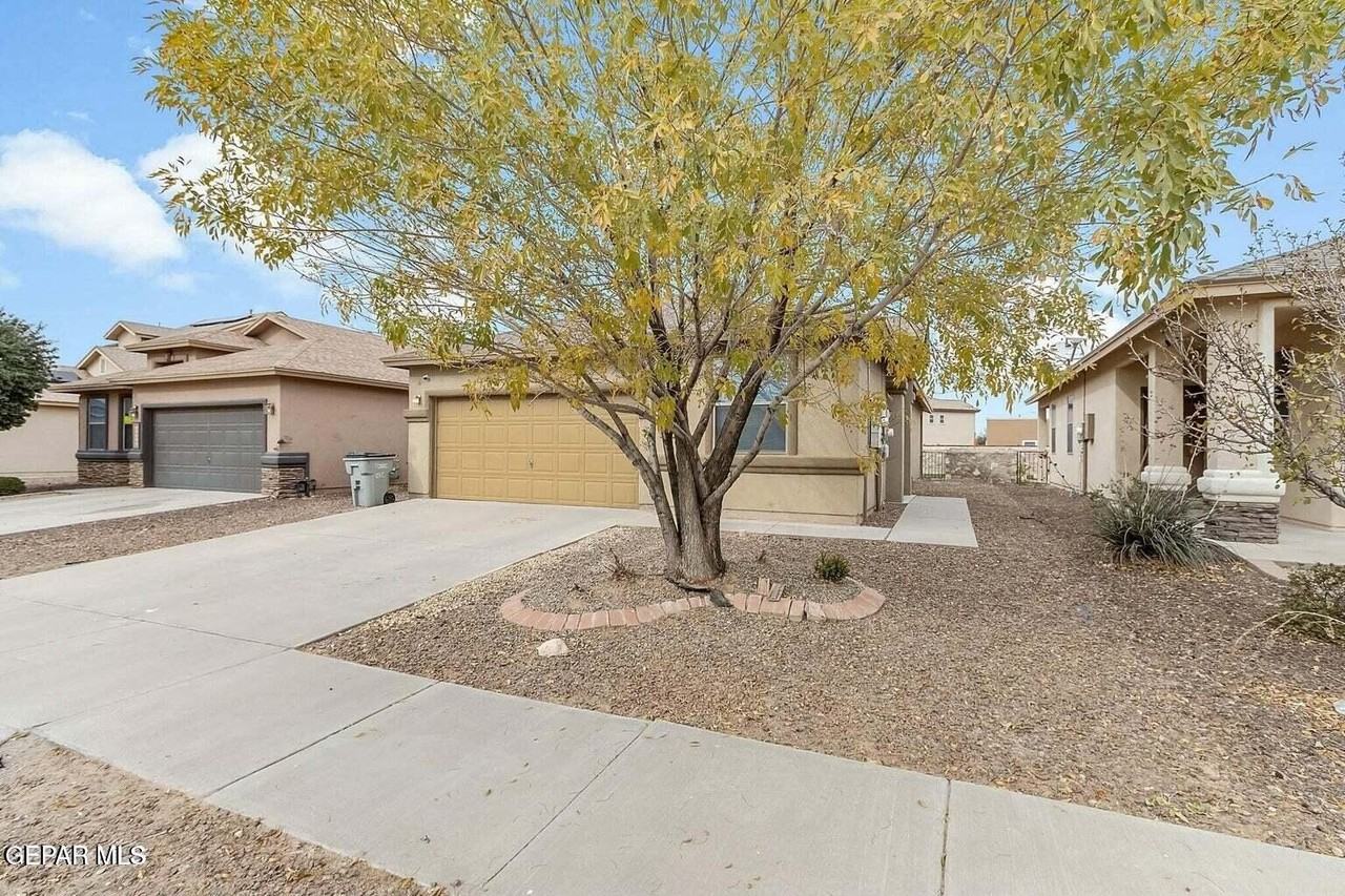 14269 Rattler Point Dr - Photo 3 of 23