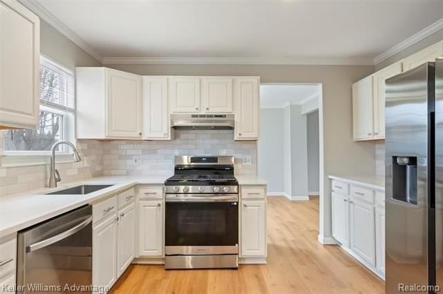 33533 Rhonswood St - Photo 5 of 22