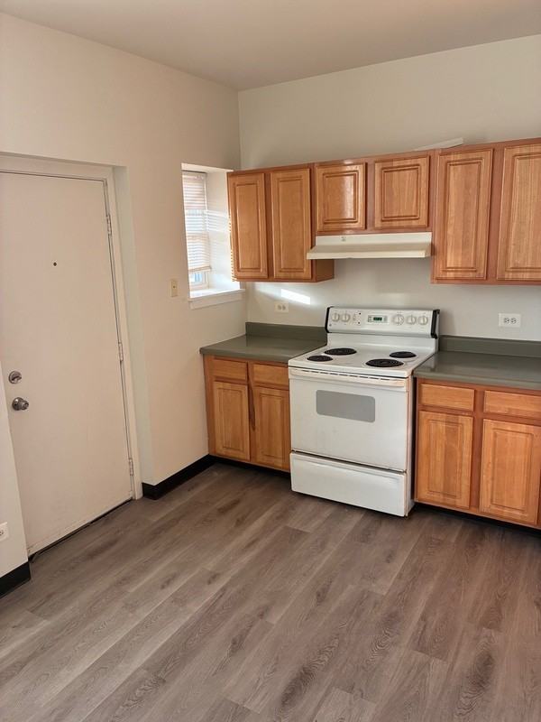 5647 West Madison Street #10-2C - Photo 6 of 7