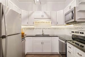 featured image of 38 Carter Street #112