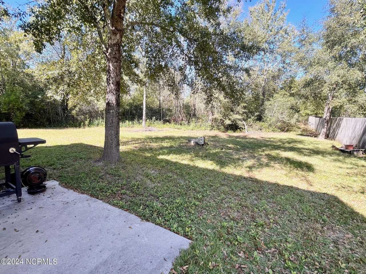 106 Boysenberry Fields Road - Photo 4 of 30