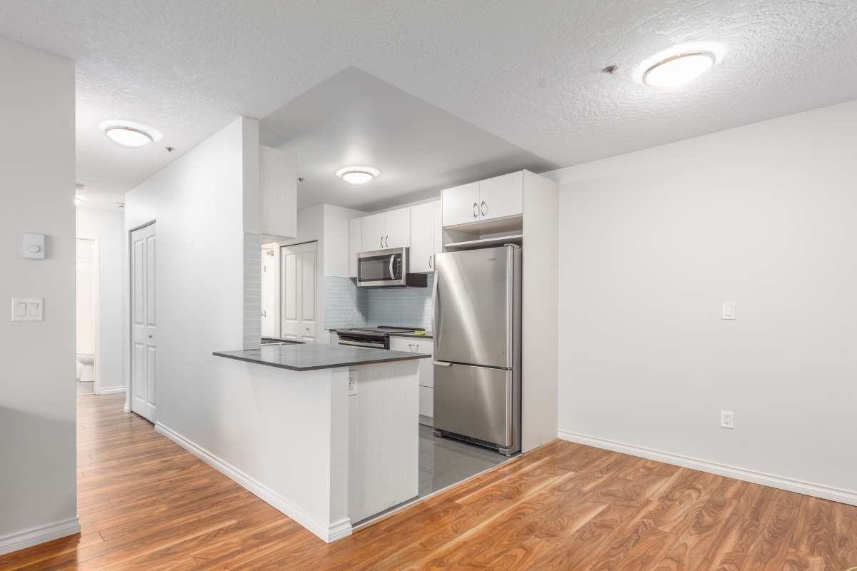 Lady Harley - Photo 7 of 10