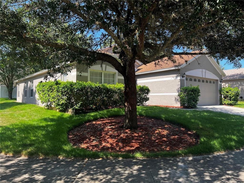 517 Swan Range Rd #517 - Photo 4 of 33