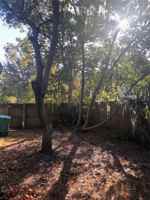 featured image of 1690 Dale Avenue #1690