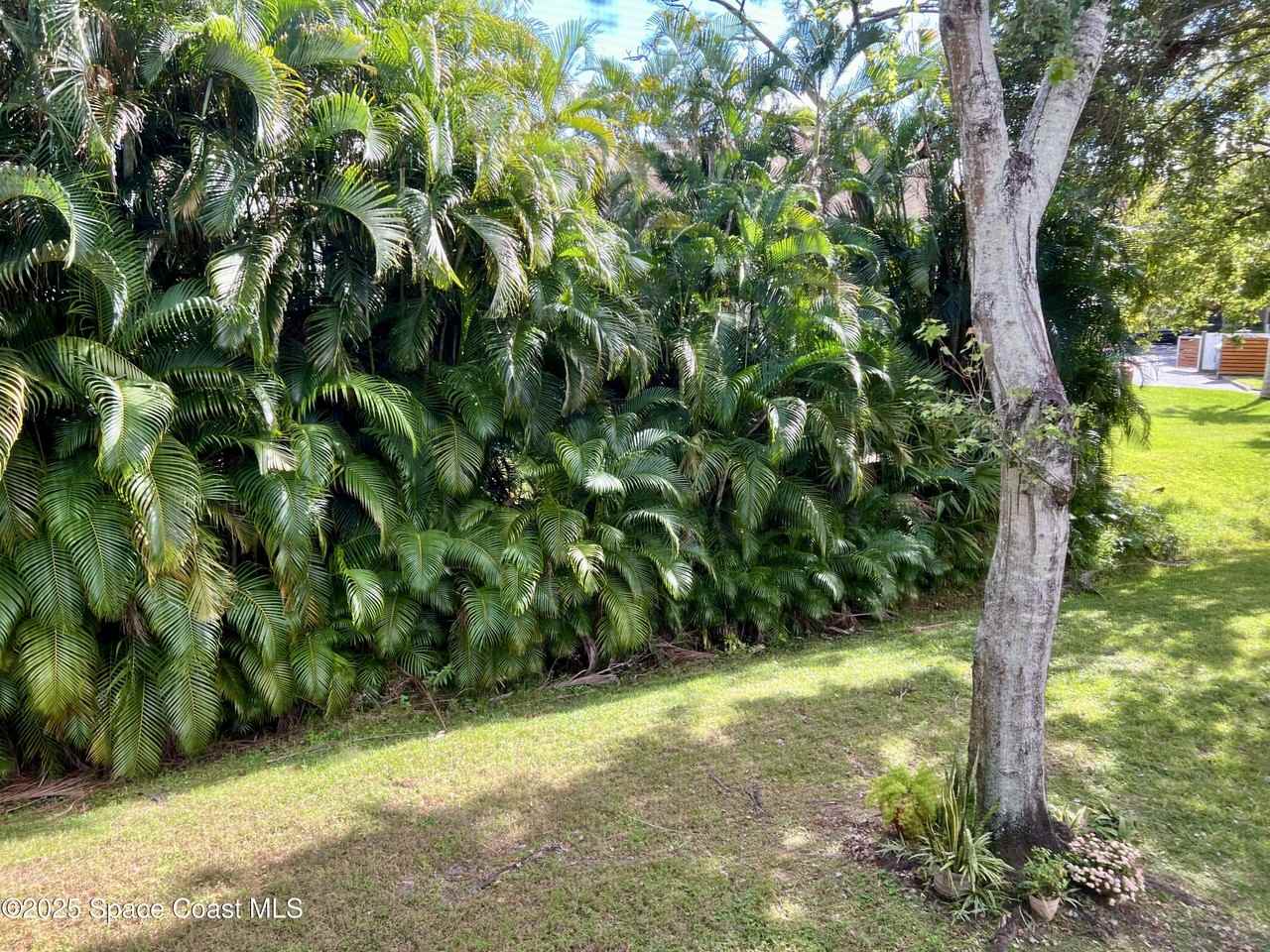 2369 Golf Lake Cir #2369-723 - Photo 4 of 18