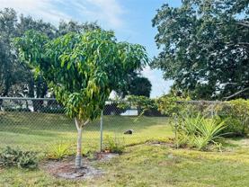 8126 Calabria Court #8126 - Photo 1 of 1