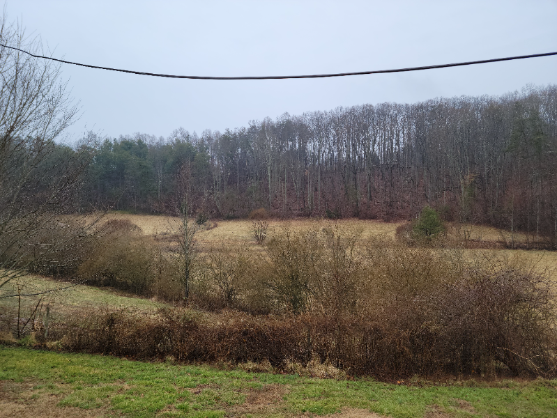 885 Rural Hall-Germanton Road - Photo 3 of 14