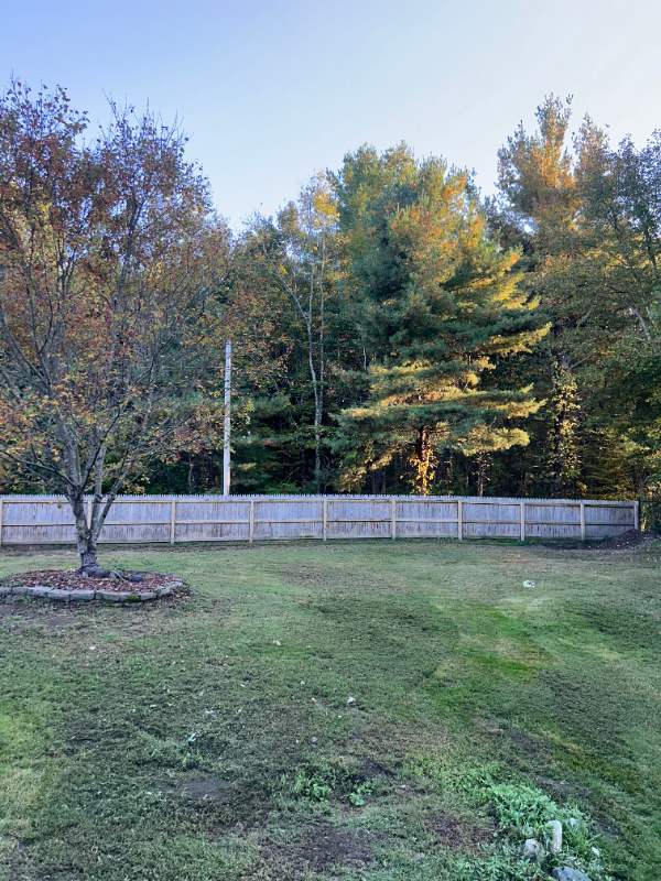 31 Walling Road #31 - Photo 3 of 20