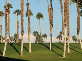 featured image of 269 Vista Royale Circle West