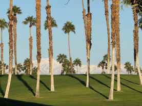 269 Vista Royale Circle West - Photo 1 of 1