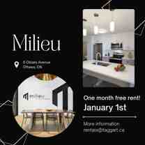 Milieu - Photo 1 of 1