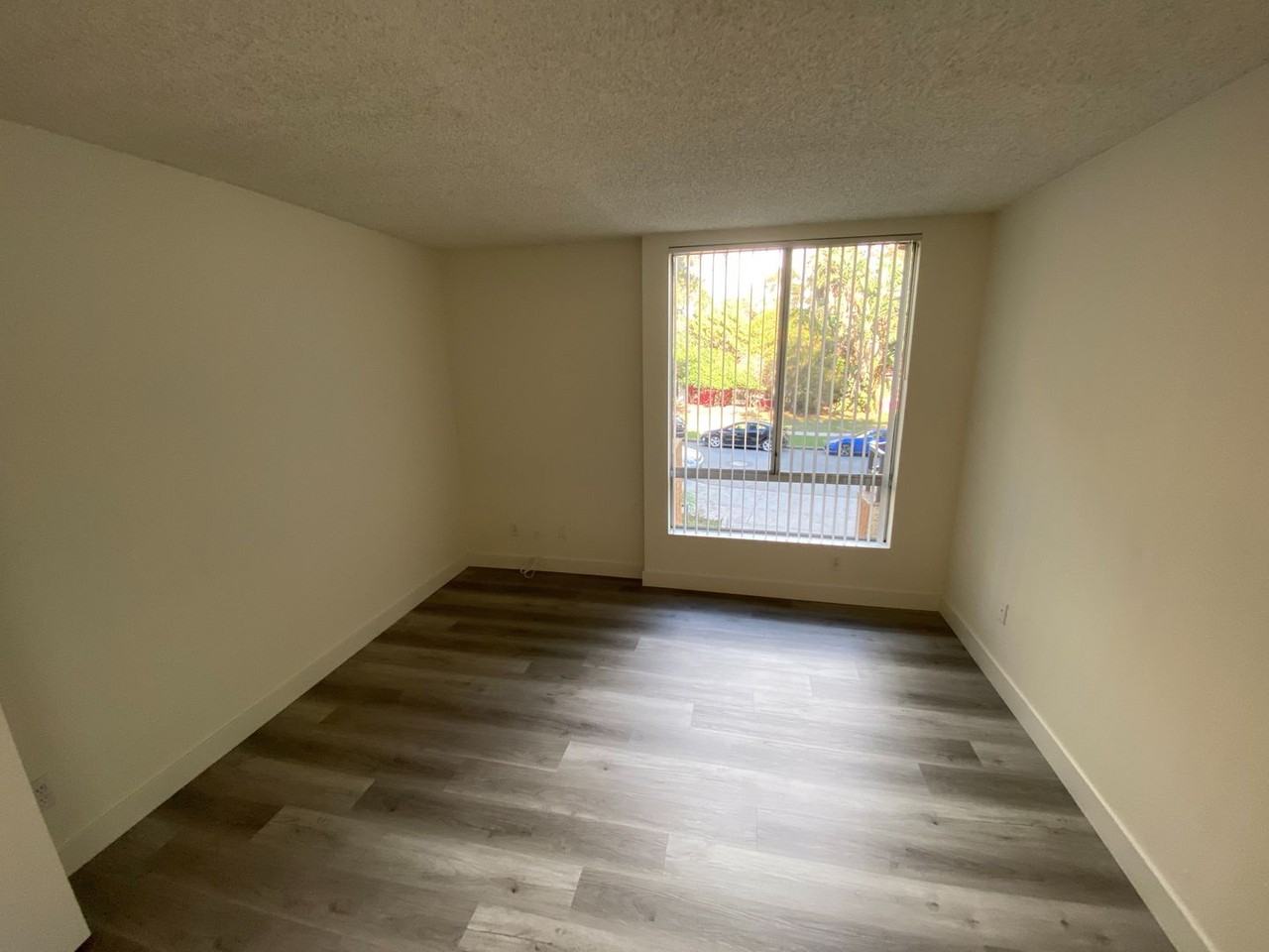 can371 - Photo 3 of 36