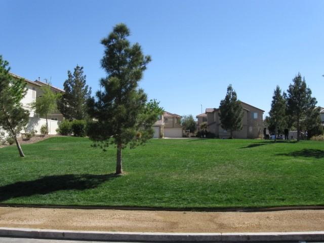 10614 Corte Sierra St - Photo 2 of 16