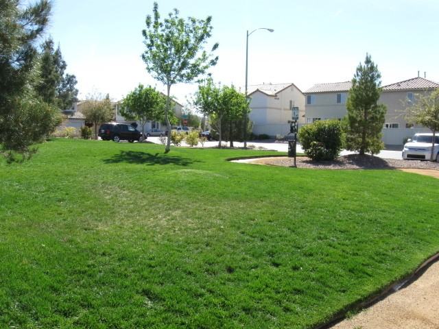 10614 Corte Sierra St - Photo 3 of 16