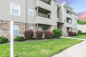 featured image of 5951 Tiger Lily Lane