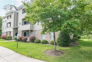 featured image of 5951 Tiger Lily Ln