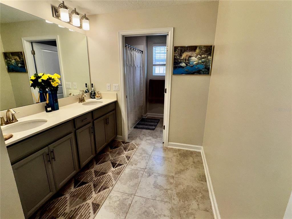 11939 Satire Street #11939