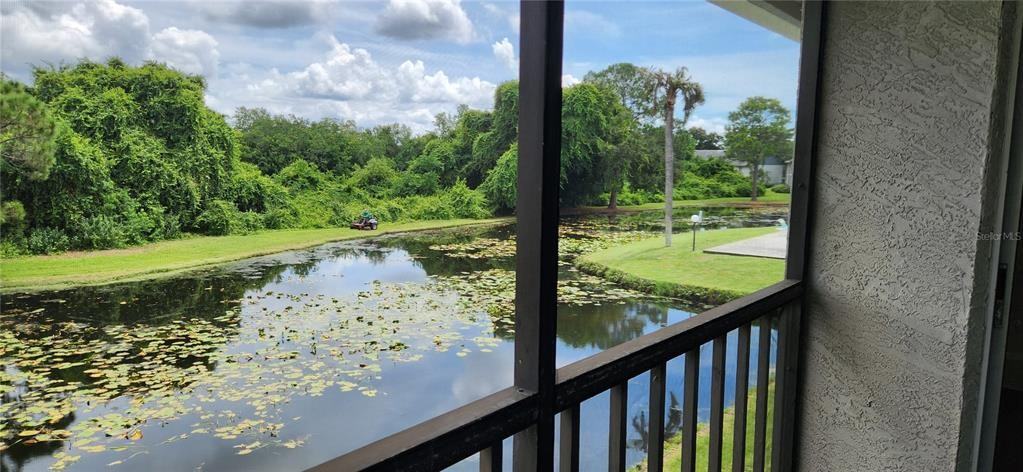 11201 122nd Avenue North #11201L232 - Photo 7 of 32