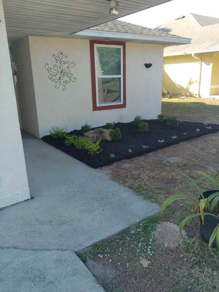 243 Harp Ter #A - Photo 5 of 14