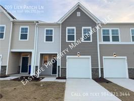 featured image of 209 Lily Patch Ln