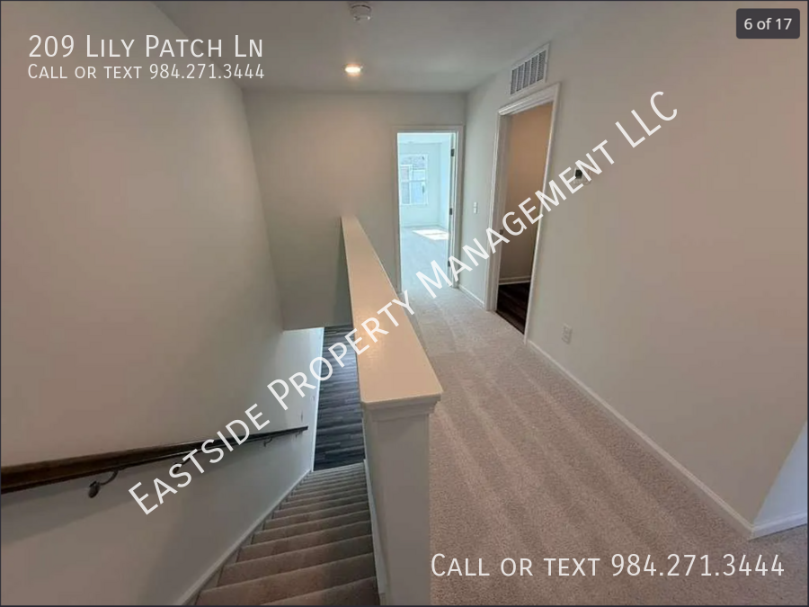 209 Lily Patch Ln - Photo 6 of 17