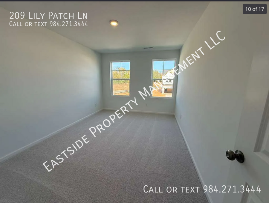 209 Lily Patch Ln - Photo 7 of 17