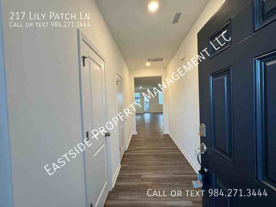 217 Lily Patch Ln - Photo 2 of 20