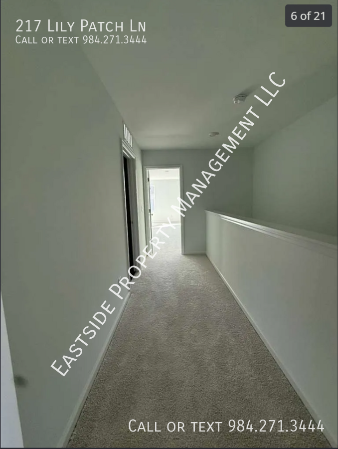 217 Lily Patch Ln - Photo 5 of 20