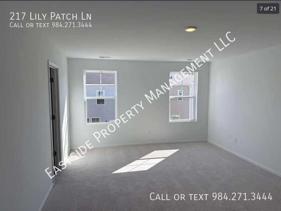 217 Lily Patch Ln - Photo 6 of 20