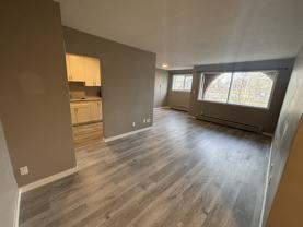 343 Mill Street #204 - Photo 1 of 1