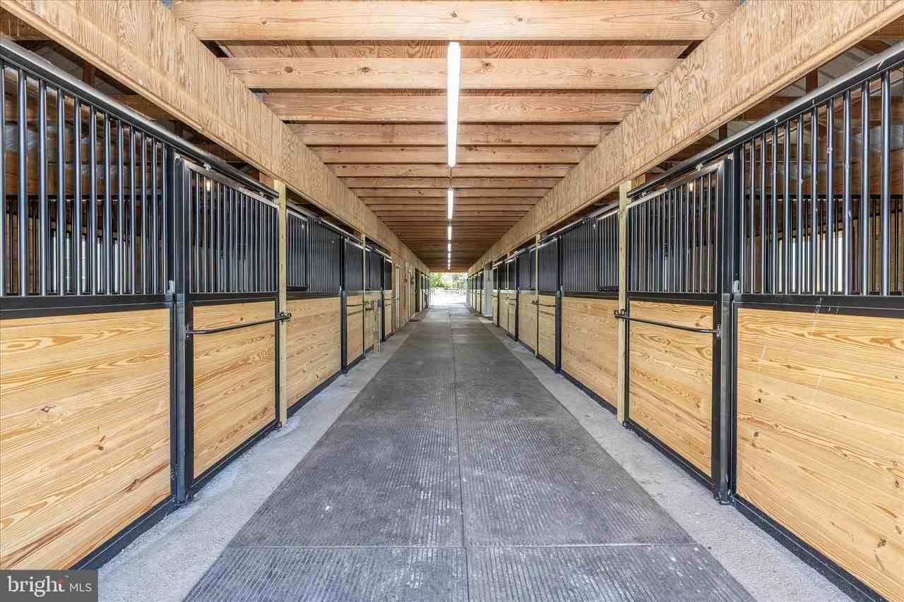 10224 Bessie Clemson Rd - Photo 5 of 46