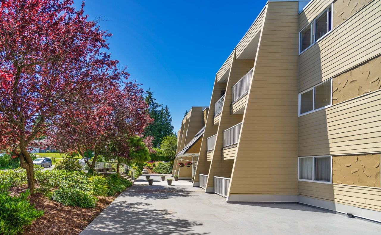 5545 15B Avenue #210 - Photo 3 of 12